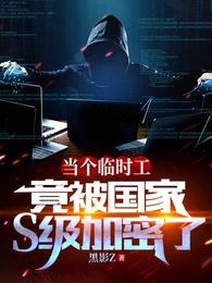 当个临时工,竟被国家S级加密了